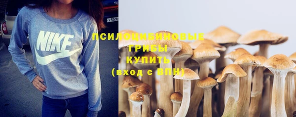 mdpv Бородино