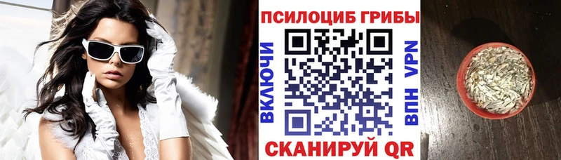 Псилоцибиновые грибы Cubensis  что такое   Вятские Поляны 